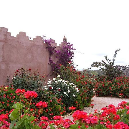 فندق Riad Souiguia Ouled Jelal المظهر الخارجي الصورة