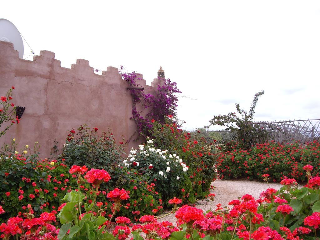 فندق Riad Souiguia Ouled Jelal المظهر الخارجي الصورة