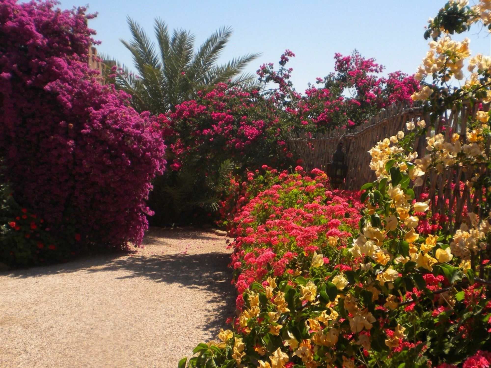 فندق Riad Souiguia Ouled Jelal المظهر الخارجي الصورة